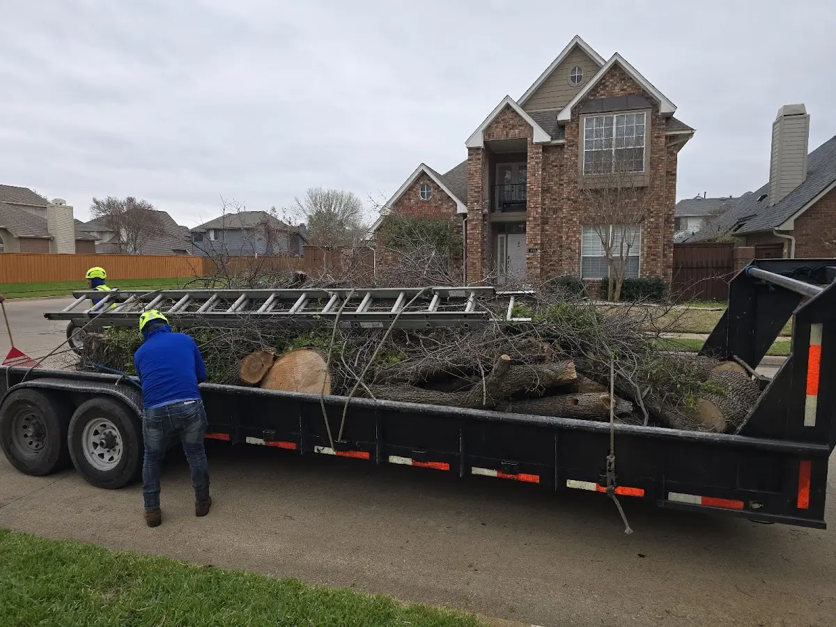 Expert Tree Removal with proper safety equipment in Swiftwater